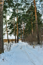 Similar image 21077972