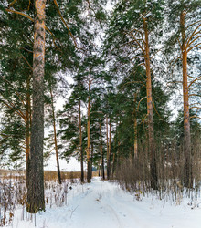 Similar image 21077975