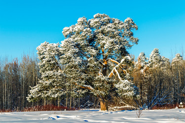 Similar image 21077978