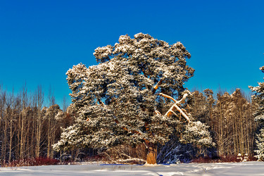 Similar image 21077979