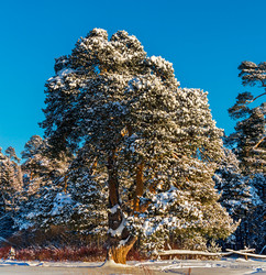 Similar image 21077982