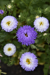 Similar image 21077984