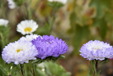 Similar image 21077985