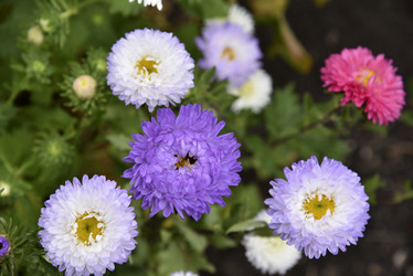 Similar image 21077986