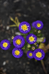 Similar image 21078068