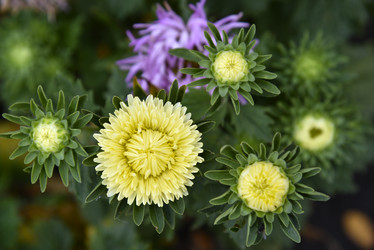 Similar image 21078069