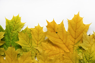 Similar image 21078074