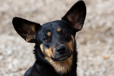 Similar image 21078511