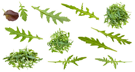 Similar image 21082885