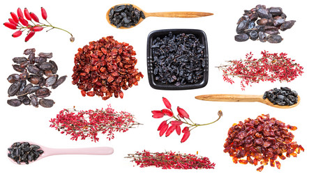 Similar image 21113819