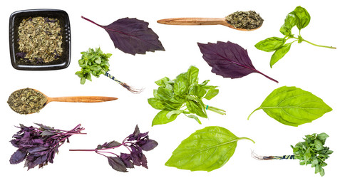 Similar image 21114897