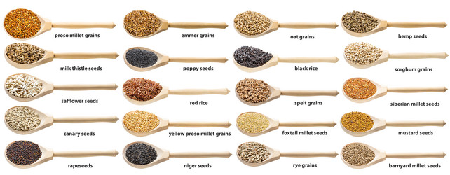 Similar image 21115331