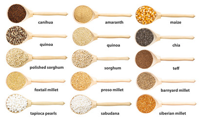 Similar image 21115333