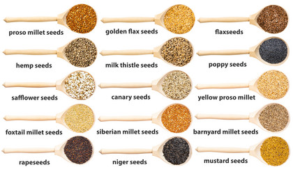 Similar image 21125594