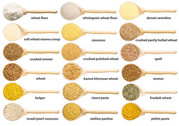 Similar image 21125595