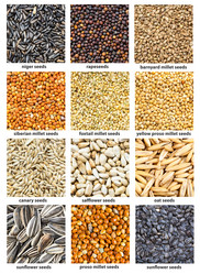 Similar image 21125596