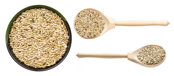 Similar image 21125937