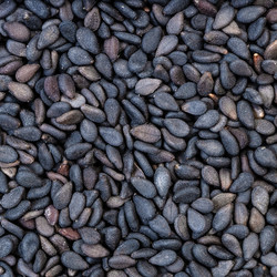 Similar image 21080249