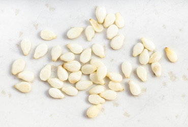 Similar image 21081209