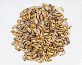 Similar image 21082711