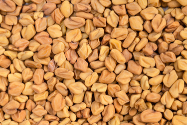 Similar image 21087013