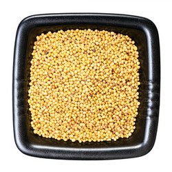 Similar image 21105634