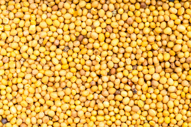 Similar image 21105868