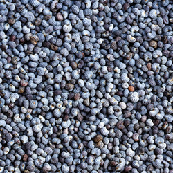 Similar image 21106002