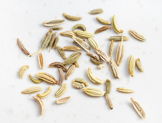 Similar image 21111926