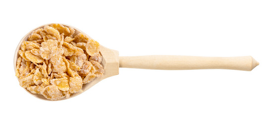 Similar image 21115337