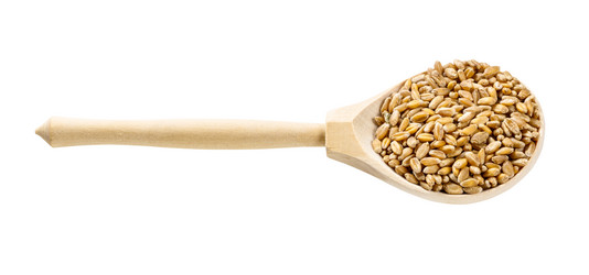 Similar image 21125942