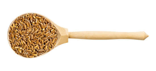 Similar image 21132671