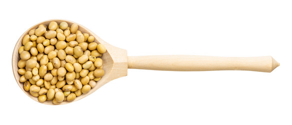 Similar image 21079948