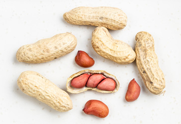 Similar image 21080196