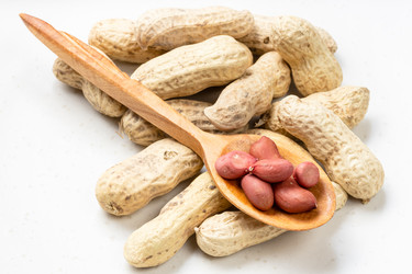 Similar image 21081214