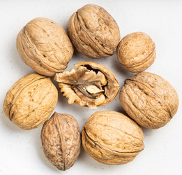 Similar image 21082722