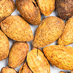 Similar image 21125600