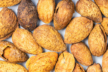 Similar image 21125601