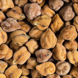 Similar image 21120903