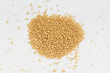 Similar image 21081230