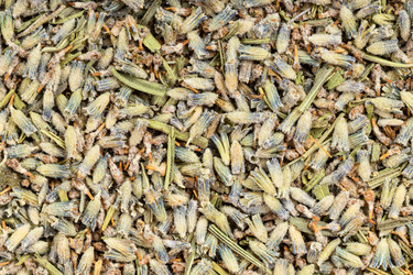 Similar image 21113549