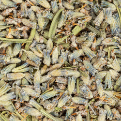 Similar image 21113837