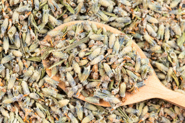 Similar image 21113839