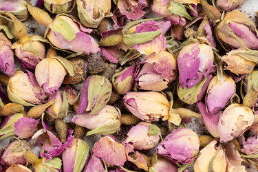 Similar image 21115024