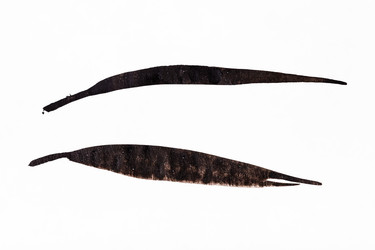 Similar image 21079976