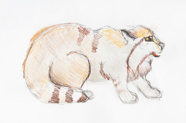 Similar image 21081236