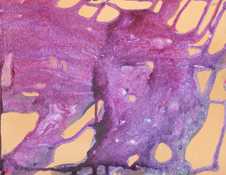 Similar image 21082891