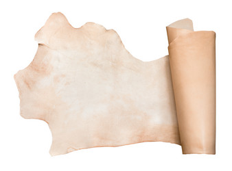 Similar image 21121472