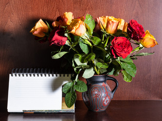 Similar image 21087308