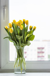 Similar image 21105680